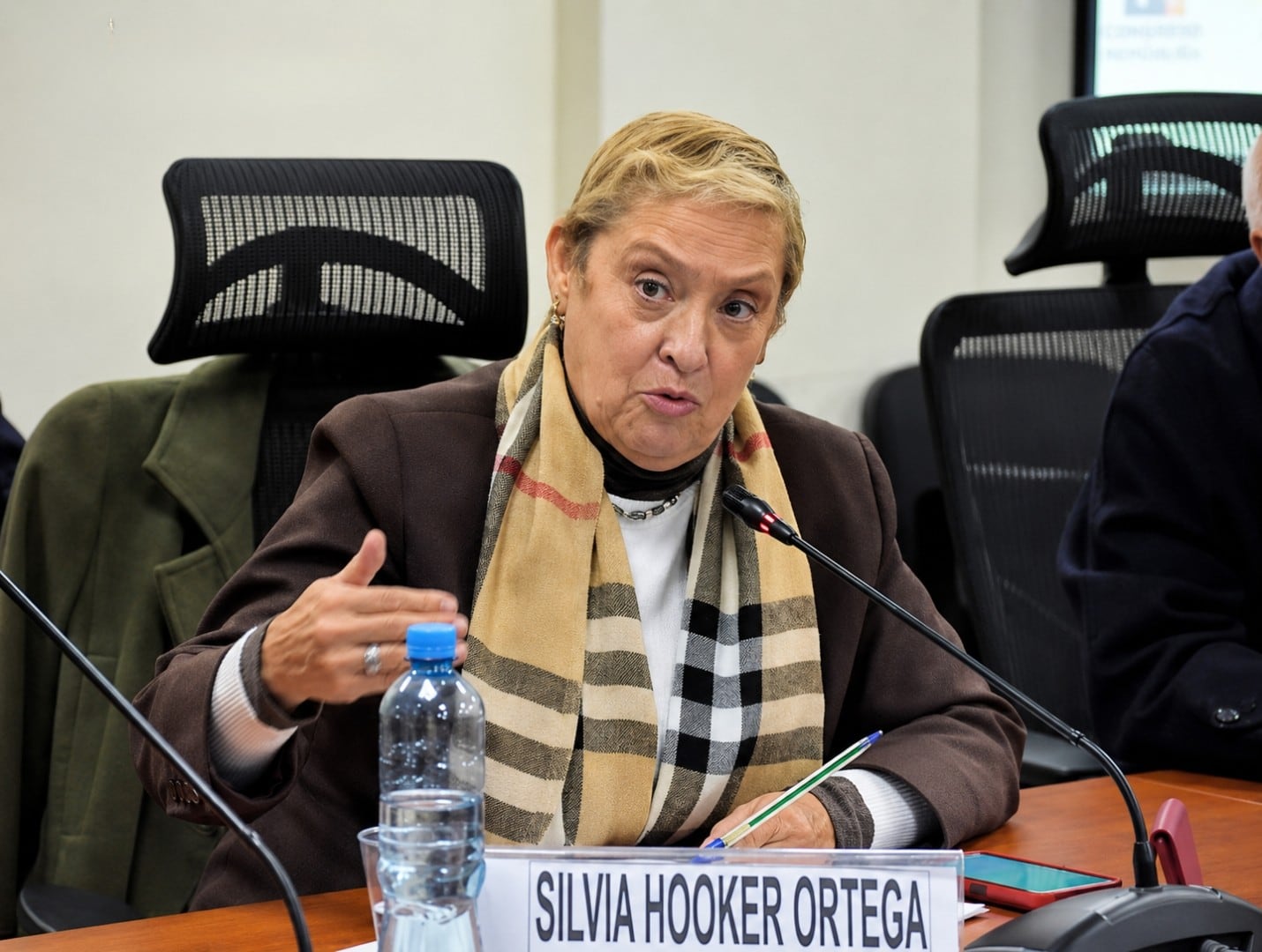 Silvia Hooker, gerenta de Asuntos Internacionales de la SNI y exintegrante del Tribunal del Indecopi, advirtió que la entidad ha perdido capacidad técnica, acumula expedientes y necesita ser repotenciada. (Congreso de la República)