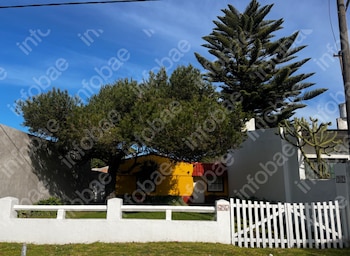 Vista exterior de uma casa amarela com telhado vermelho, parcialmente escondida por árvores e árvores de quebra-cabeças de macacos, atrás de uma cerca de madeira branca.