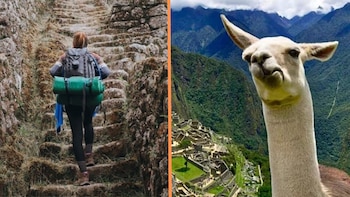 La influencia de la cultura