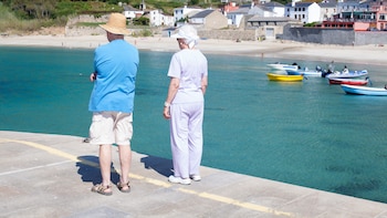 De plataformas confusas a compañeros