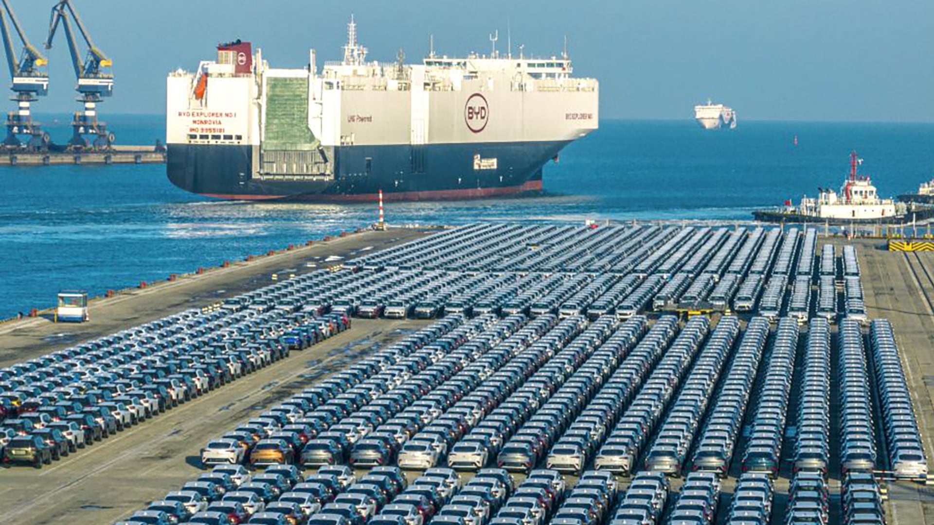 La flota de BYD está compuesta por 8 buques de gran capacidad, que juntos pueden transportar hasta 65.000 unidades por viaje