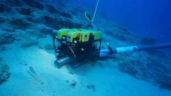 Robot submarino de color amarillo y negro con una manguera de succión apoyado sobre la arena en el lecho marino
