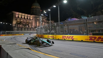 Alonso atropella a un lagarto