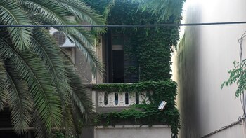 La mayor parte del frente