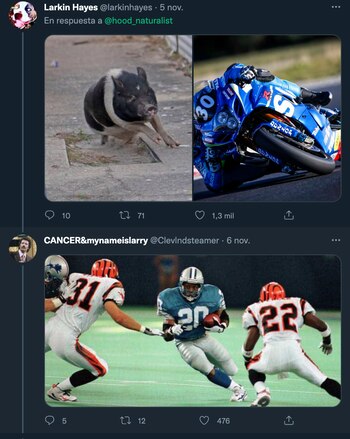 Las fintas del cerdo fueron