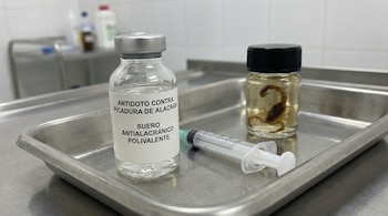 Un vial de antídoto contra picadura de alacrán, una jeringa vacía y un escorpión conservado en un frasco, todos dispuestos sobre una bandeja quirúrgica metálica.