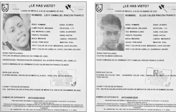 En diciembre de 2020, los