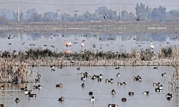 (X @FernandoRubioQ_)