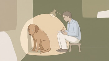 Ilustración de una persona con cuaderno y lápiz observando a un perro marrón claro con orejas caídas, que apoya su cabeza en una pared en una habitación con luz tenue y cálida.