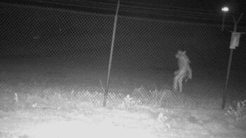 "El zoológico de Amarillo captó