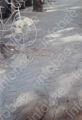 Bicicleta decorativa de metal blanco con dos macetas de flores blancas. Pavimento de adoquines y, al fondo, coches y el tronco de un árbol
