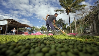 El déficit comercial de Honduras