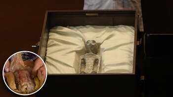 Usuarios de redes sociales crearon