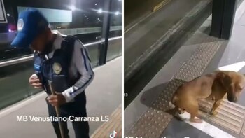 Policía suspendido por golpear a un perrito dentro de una estación del Metrobús CDMX