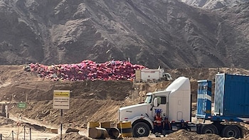 Minsa destruye cuatro toneladas de