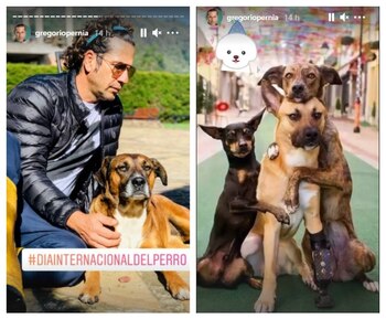 Historias de Instagram de Gregorio