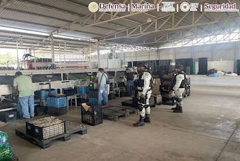 Vigilancia del sector agrícola en