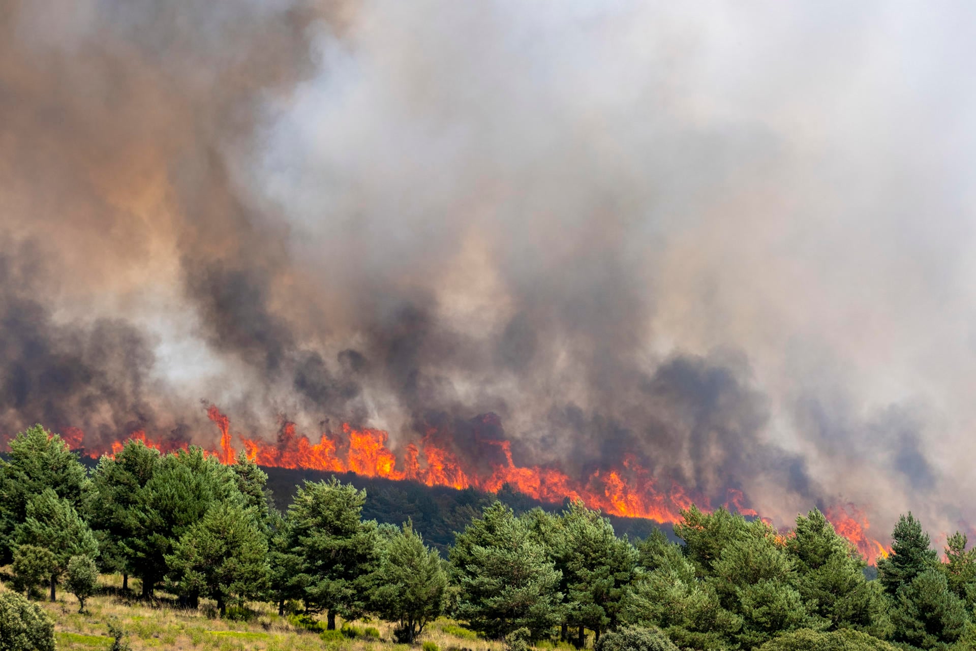 Última hora de los incendios en España, en directo: focos activos en Teruel, Huesca, Guadalajara y Huelva | El fuego en Brieva (Segovia) ha calcinado más de 3.000 hectáreas