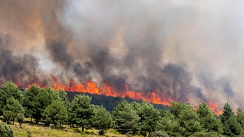 Última hora de los incendios en España, en directo: focos activos en Teruel, Huesca, Guadalajara y Huelva | El fuego en Brieva (Segovia) ha calcinado más de 3.000 hectáreas