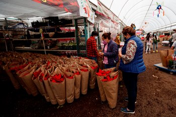 En temporada navideña, las Nochebuenas