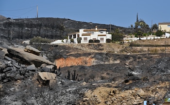 Terreno calcinado en el municipio almeriense de Bédar. (Carlos Barba/EFE)