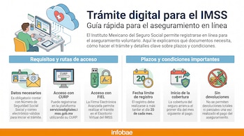 Ilustración de un hombre en una computadora conectado a una nube de salud. Infografía con secciones de requisitos, acceso, plazos y condiciones para el IMSS.