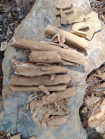 Foto: (Facebook/Ayuntamiento de Ixtlán de