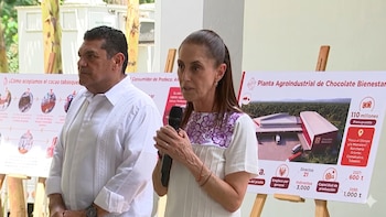 Sheinbaum deja tarea a productores de cacao en Tabasco: en 2 semanas deben presentar plan para precios justos y sin intermediarios
