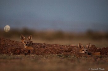 (Foto: Ganesh Marín, vía Dirección