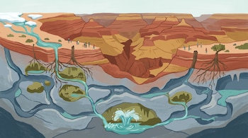 Ilustración de corte transversal del Gran Cañón: paisaje rojizo con visitantes en la superficie y una red subterránea de cuevas azules/grises con agua y un manantial.