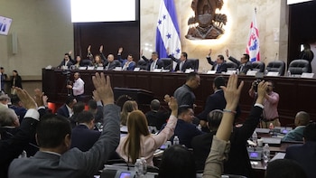 El Congreso Nacional analiza activar