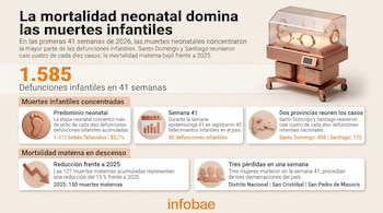 Infografía con una incubadora, iconos estadísticos, la silueta del mapa dominicano y textos informativos organizados en bloques.