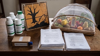 Botellas fitosanitarias, señal peligro ambiental, documentos, caja "Restringido", cesta frutas y verduras con etiqueta "Muestra de Control".