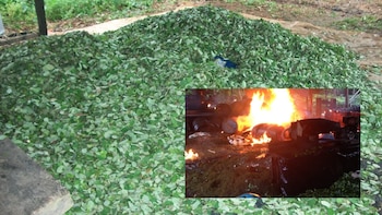 Fuerzas Armadas de Colombia destruyen