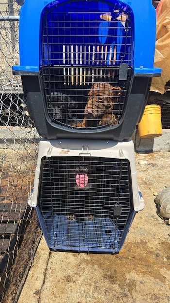 La gobernadora del Estado de