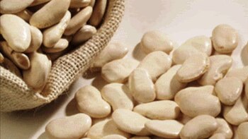 El pallar: el superalimento peruano