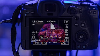Fotografiar corales para salvar los océanos: el papel de la tecnología en su reproducción