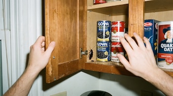 Mano abre alacena de cocina. Una cucaracha grande se ve en un estante junto a latas de frijoles, sopa, y cajas de pasta y avena.