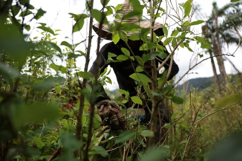El reporte plantea ampliar el monitoreo ambiental y epidemiológico ante una contaminación química difusa y persistente (Reuters)
