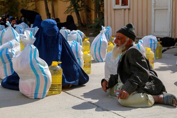 Imagen de archivo de varios