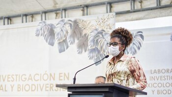 Califican de “exagerada” a MinCiencias