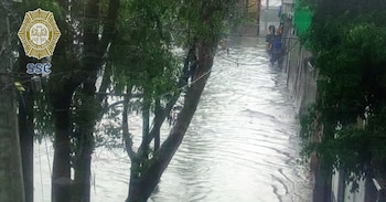 Zonas de la alcaldía Venustiano