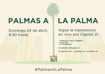 Homenaje a la Palma que