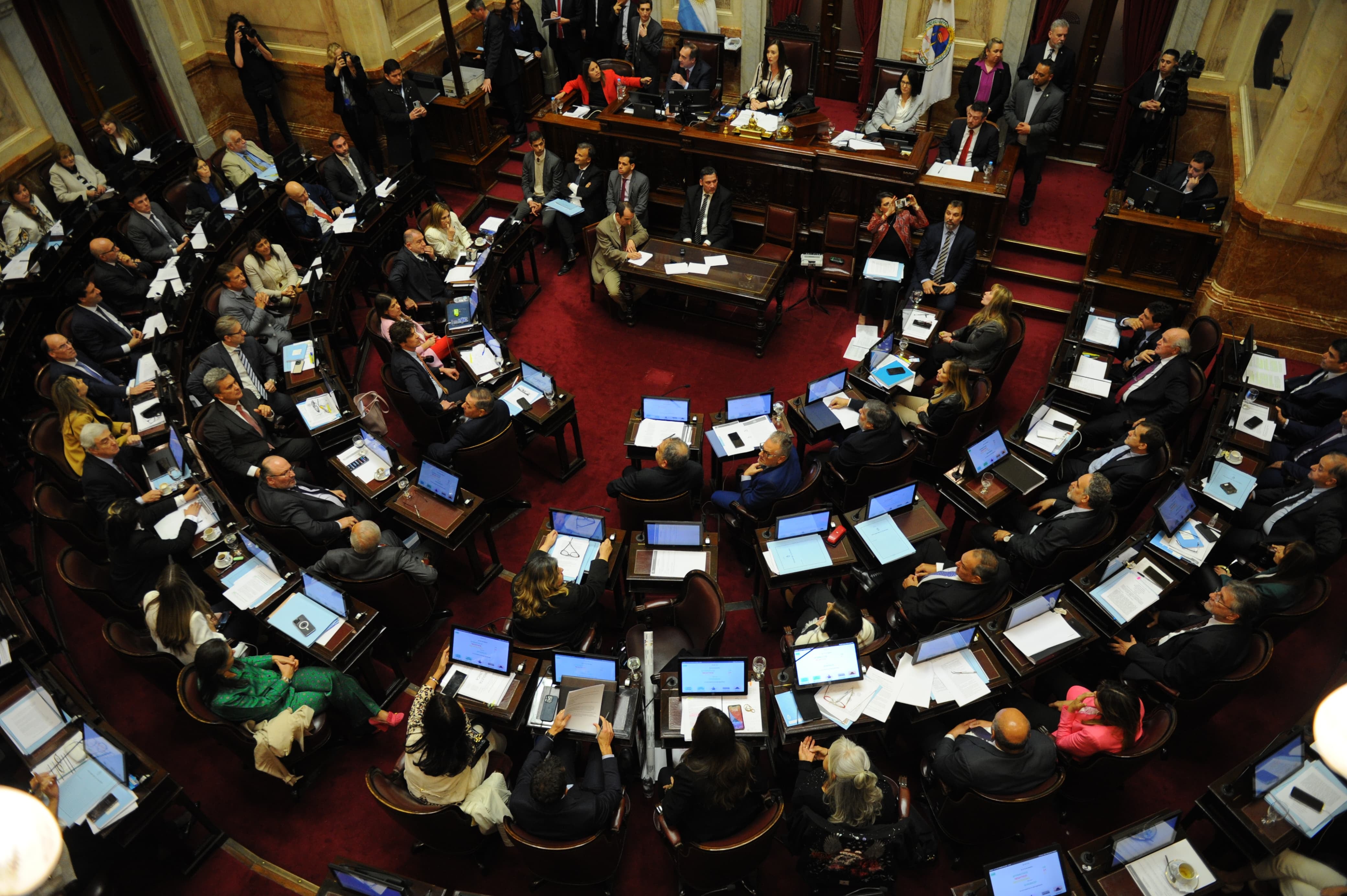 El pleno del Senado durante una sesión realizada el año pasado (Sebastián Alonso)