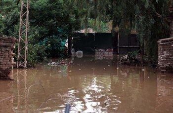 Imagen RKZ7XZKTNVE5JPNE3QCGOAMZRQ