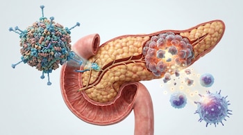 Visualización científica de un páncreas humano con un tumor. Un adenovirus grande entra al tumor, fragmentando células cancerosas y liberando señales inmunes.