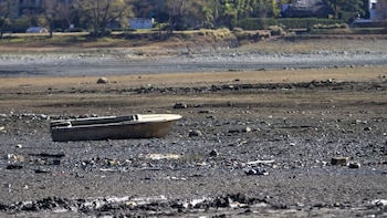 El Gobierno Federal solicitó a