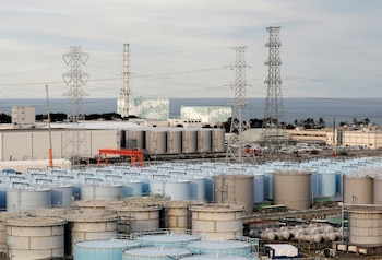 Las micropartículas de cesio permanecen en el suelo de Fukushima y representan un desafío (EFE/ Kimimasa Mayama)