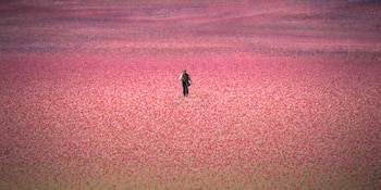 Una figura solitaria camina a