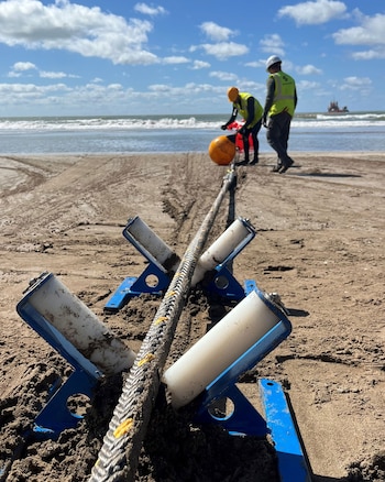 Los trabajos finales para poner